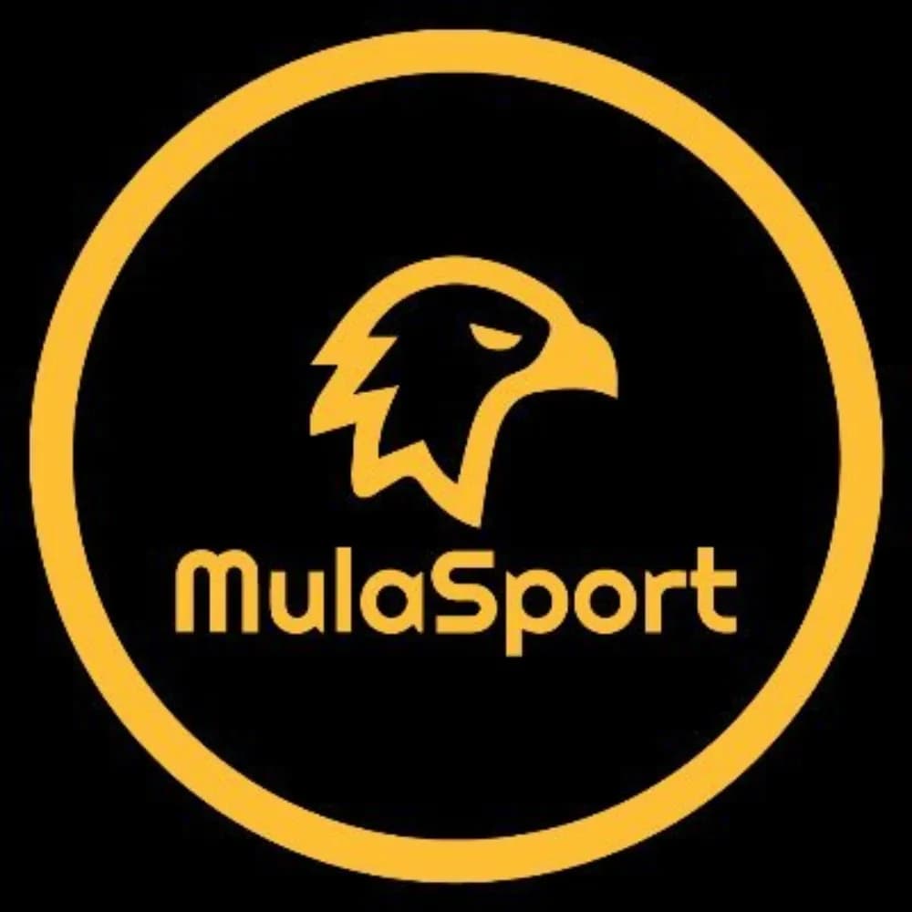 MulaSport Aviator Banner
